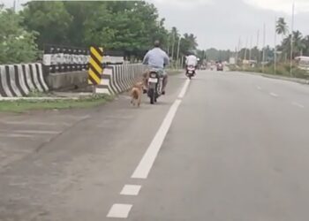 ಬೈಂದೂರು: ಸಾಕು ನಾಯಿ ಯನ್ನು ಬೈಕ್​ಗೆ ಕಟ್ಟಿ ಎಳೆದೊಯ್ದ ವ್ಯಕ್ತಿ, ವಿಡಿಯೋ ವೈರಲ್​, ಪ್ರಕರಣ ಧಾಖಲು..!!