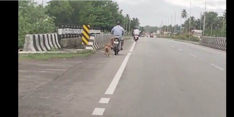 ಬೈಂದೂರು: ಸಾಕು ನಾಯಿ ಯನ್ನು ಬೈಕ್ಗೆ ಕಟ್ಟಿ ಎಳೆದೊಯ್ದ ವ್ಯಕ್ತಿ, ವಿಡಿಯೋ ವೈರಲ್, ಪ್ರಕರಣ ಧಾಖಲು..!!