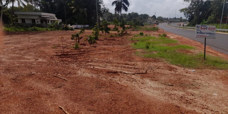 ರಾಹೆ _169: ಹೆದ್ದಾರಿ ಬದಿ ಗಿಡ ನೆಡಲು ಯೋಜನೆ ಸಿದ್ಧ..!!