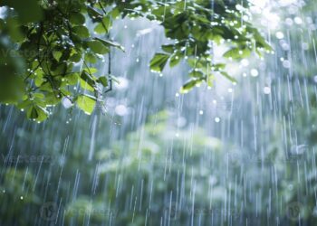 ರಾಜ್ಯದಲ್ಲಿ ಮುಂದಿನ 48 ಗಂಟೆಗಳಲ್ಲಿ ಭಾರಿ ಮಳೆ ಸಾಧ್ಯತೆ..!!