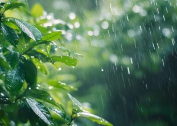 ರಾಜ್ಯದಲ್ಲಿ ಮುಂದಿನ 3 ದಿನ ಭಾರಿ ಮಳೆ ಸಾಧ್ಯತೆ : ಕರಾವಳಿ ಜಿಲ್ಲೆಗಳಲ್ಲಿ ರೆಡ್ ಅಲರ್ಟ್ ಘೋಷಣೆ..!!