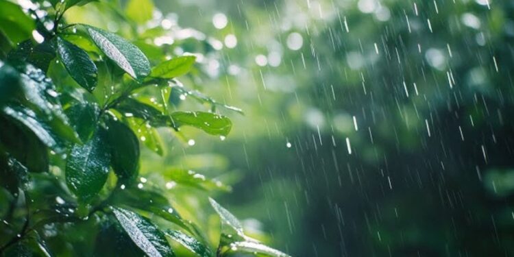 ರಾಜ್ಯದಲ್ಲಿ ಮುಂದಿನ 3 ದಿನ ಭಾರಿ ಮಳೆ ಸಾಧ್ಯತೆ : ಕರಾವಳಿ ಜಿಲ್ಲೆಗಳಲ್ಲಿ ರೆಡ್ ಅಲರ್ಟ್ ಘೋಷಣೆ..!!