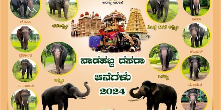 ಮೈಸೂರು ದಸರಾ – ಅಂತಿಮವಾಗಿ ಜಂಬೂ ಸವಾರಿಗೆ 9 ಆನೆಗಳ ಆಯ್ಕೆ..!!