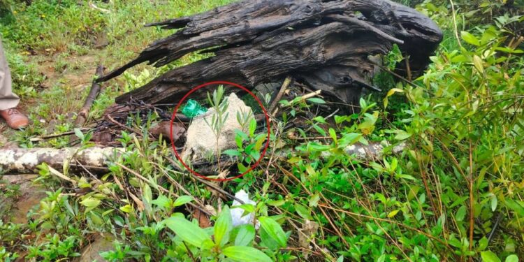 ಕಾರ್ಕಳ : ಮಲೆಬೆಟ್ಟು ಬಳಿ ಹಸುವಿನ ದೇಹದ ಭಾಗಗಳು ಪತ್ತೆ..!!