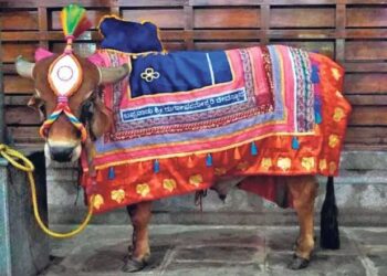 ರಾಜ್ಯಾದ್ಯಂತ ಇಂದಿನಿಂದ ಮತ್ತೆ ಮಳೆ ಶುರು.!!