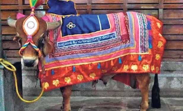 ರಾಜ್ಯಾದ್ಯಂತ ಇಂದಿನಿಂದ ಮತ್ತೆ ಮಳೆ ಶುರು.!!