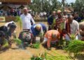 ಹಡಿಲು ಭೂಮಿ ಕೃಷಿ – 5ನೇ ವರ್ಷದ ಕಡೇ ನಟ್ಟಿ – ಕೃಷಿಕರಿಗೆ ಅಭಿನಂದನೆ..!!