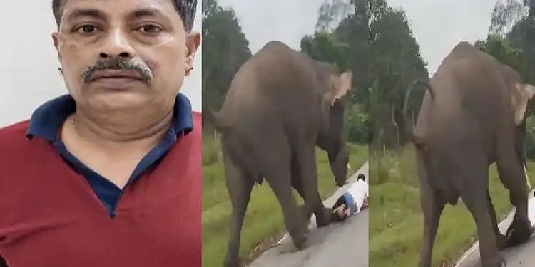 ಬಂಡೀಪುರದಲ್ಲಿ ‘ಕಾಡಾನೆ’ ಜೊತೆ `ಸೆಲ್ಫಿ’ತೆಗೆಯಲು ಹೋಗಿ ದಾಳಿ  : ಪ್ರವಾಸಿಗನಿಗೆ  25,000 ದಂಡ.!