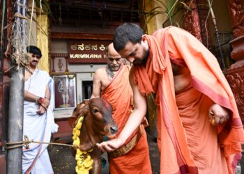 ಉಡುಪಿ : ಗೋಪಾಲಕೃಷ್ಣನ ಸಾನಿಧ್ಯದಲ್ಲಿ ಗೋಪೂಜೆ..!