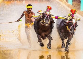 ಉಡುಪಿ: ಉಡುಪಿ ಜಿಲ್ಲಾ ಸಾಂಪ್ರದಾಯಿಕ ಕಂಬಳ ಸಮಿತಿಯಿಂದ ಕಂಬಳಗಳ ದಿನಾಂಕ ನಿಗದಿ..!!