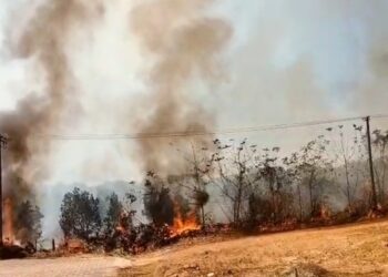 ನೀಲಾವರದಲ್ಲಿ ಬಾರೀ ಅಗ್ನಿ ದುರಂತ : ನೂರಾರು ಮರಗಳು ಬೆಂಕಿಯ ಕೆನ್ನಾಲಿಗೆಗೆ ಆಹುತಿ :ಲಕ್ಷಾಂತರ ರೂಪಾಯಿ ನಷ್ಟ.!