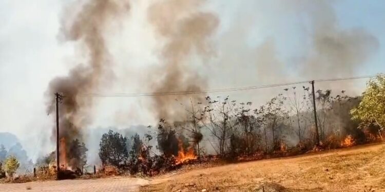 ನೀಲಾವರದಲ್ಲಿ ಬಾರೀ ಅಗ್ನಿ ದುರಂತ : ನೂರಾರು ಮರಗಳು ಬೆಂಕಿಯ ಕೆನ್ನಾಲಿಗೆಗೆ ಆಹುತಿ :ಲಕ್ಷಾಂತರ ರೂಪಾಯಿ ನಷ್ಟ.!