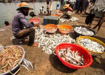 ಅರಬಿ ಸಮುದ್ರದ ಬಿರುಗಾಳಿ ಪರಿಣಾಮ: ಮೀನಿನ ಕೊರತೆ, ಮೀನುಗಾರರ ಬದುಕಿಗೆ ಭಾರೀ ಹೊಡೆತ…!!
