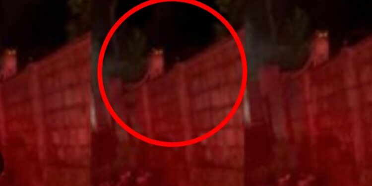 ಉಡುಪಿಯಲ್ಲಿ ಚಿರತೆ ಭೀತಿ ಹೆಚ್ಚಳ; ಕಾಂಪೌಂಡ್ ಏರಿ ಕುಳಿತ ಚಿರತೆ…!!