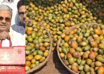 ಅಡಿಕೆ ಬೆಳೆಗಾರರಿಗೆ ಬಜೆಟ್‌ನಲ್ಲಿ ನೆರವು: ಎಲೆಚುಕ್ಕಿ, ಹಳದಿ ಎಲೆ ರೋಗ ನಿಯಂತ್ರಣಕ್ಕೆ ₹10 ಕೋಟಿ…!