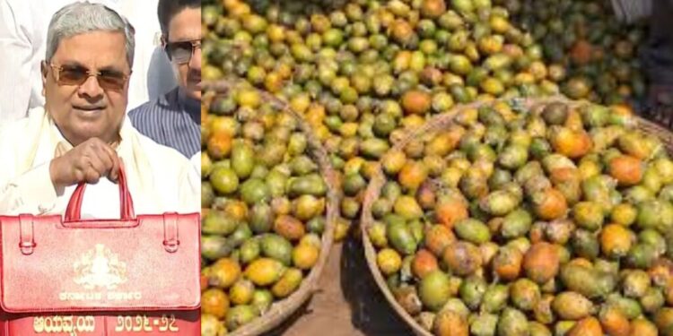 ಅಡಿಕೆ ಬೆಳೆಗಾರರಿಗೆ ಬಜೆಟ್‌ನಲ್ಲಿ ನೆರವು: ಎಲೆಚುಕ್ಕಿ, ಹಳದಿ ಎಲೆ ರೋಗ ನಿಯಂತ್ರಣಕ್ಕೆ ₹10 ಕೋಟಿ…!