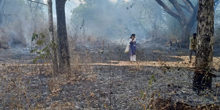 ಕಾರ್ಕಳದಲ್ಲಿ ಆಕಸ್ಮಿಕ ಬೆಂಕಿ: ಅಧಿಕಾರಿಗಳ ತ್ವರಿತ ಕ್ರಮದಿಂದ ಯಾವುದೇ ದೊಡ್ಡ ಪ್ರಮಾಣದ ಹಾನಿ ಸಂಭವಿಸಿಲ್ಲ..!!