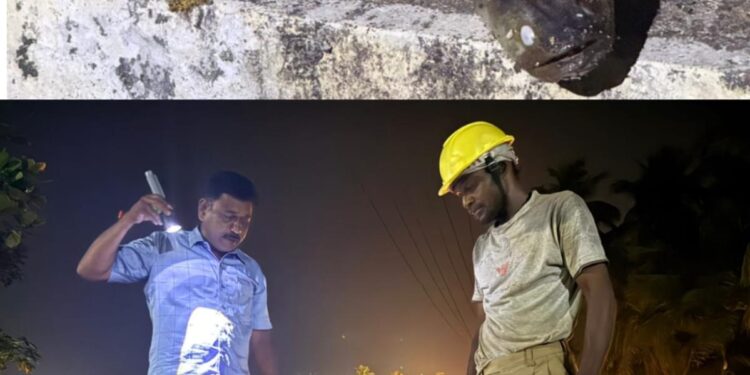 ಆನೆಕೆರೆ ಬಾವಿಯಲ್ಲಿ ಸತ್ತ ಮೀನು; ದುರ್ವಾಸನೆ ಮಧ್ಯೆ ಯಾತ್ರಾರ್ಥಿಗಳ ಸಂಕಷ್ಟ – ಮಾಜಿ ಸದಸ್ಯರಿಂದ ಸ್ವಚ್ಛತಾ ಕಾರ್ಯ….!