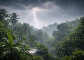 ಮುಂಗಾರು ಪೂರ್ವ ಮಳೆ ಹಿನ್ನೆಲೆ: ವಿಪತ್ತು ನಿರ್ವಹಣಾ ಪ್ರಾಧಿಕಾರದ ಎಚ್ಚರಿಕೆ