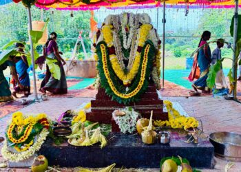 ಮರಾಠಿ ಸಮುದಾಯದ ಆರಾಧನಾ ದೇವಿಗೆ ವೃಂದಾವನ ಪ್ರತಿಷ್ಠೆ