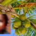 ಬ್ರಹ್ಮಾವರ: ತೆಂಗಿನಕಾಯಿ ತಲೆಗೆ ಬಿದ್ದು ಒಂದೂವರೆ ವರ್ಷದ ಮಗು ದುರ್ಮರಣ