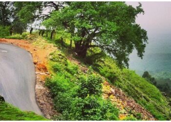 ಹುಲಿಕಲ್ ಘಾಟಿ ಮಾರ್ಗ ಮತ್ತೆ ಸಂಚಾರಕ್ಕೆ ಮುಕ್ತ; ಬಸ್ ಹಾಗೂ ಲಘು ವಾಹನಗಳಿಗೆ ಅನುಮತಿ