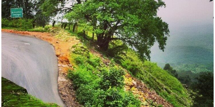 ಹುಲಿಕಲ್ ಘಾಟಿ ಮಾರ್ಗ ಮತ್ತೆ ಸಂಚಾರಕ್ಕೆ ಮುಕ್ತ; ಬಸ್ ಹಾಗೂ ಲಘು ವಾಹನಗಳಿಗೆ ಅನುಮತಿ
