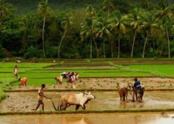 2026-27ನೇ ಸಾಲಿನ ಶ್ರೇಷ್ಠ ಕೃಷಿಕ ಪ್ರಶಸ್ತಿಗೆ – ರೈತರು ಹಾಗೂ ರೈತ ಮಹಿಳೆಯರಿಂದ ಅರ್ಜಿ ಆಹ್ವಾನ ..!