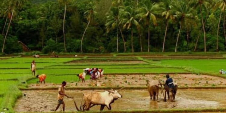 2026-27ನೇ ಸಾಲಿನ ಶ್ರೇಷ್ಠ ಕೃಷಿಕ ಪ್ರಶಸ್ತಿಗೆ – ರೈತರು ಹಾಗೂ ರೈತ ಮಹಿಳೆಯರಿಂದ ಅರ್ಜಿ ಆಹ್ವಾನ ..!
