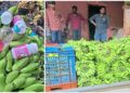 ಅಲೆವೂರಿನಲ್ಲಿ ಬಾಳೆಹಣ್ಣು ದಾಸ್ತಾನು ಕೇಂದ್ರಗಳ ಮೇಲೆ ದಿಢೀರ್ ದಾಳಿ: ಹಾನಿಕಾರಕ ರಾಸಾಯನಿಕ ವಶ..!