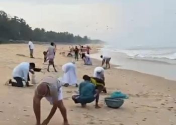 ಕುಂದಾಪುರ ಕಡಲತೀರದಲ್ಲಿ ರಾಶಿ ರಾಶಿ ಬೂತಾಯಿ ಮೀನು; ಮೀನು ಹಿಡಿಯಲು ಮುಗಿಬಿದ್ದ ಜನ